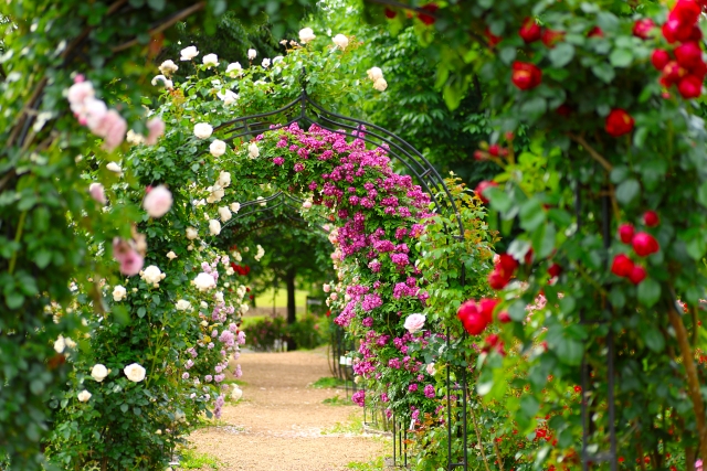 フラワーガーデン