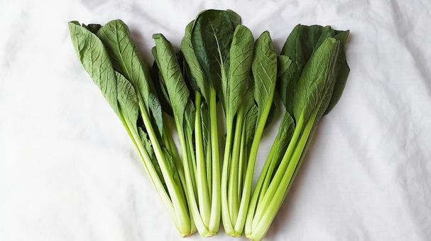 小松菜