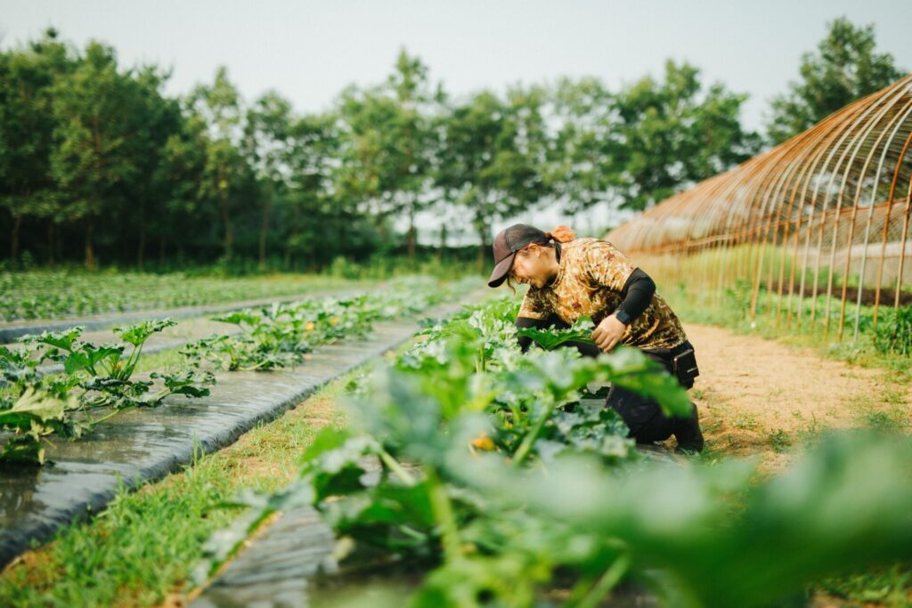 旬感マルシェの紹介画像